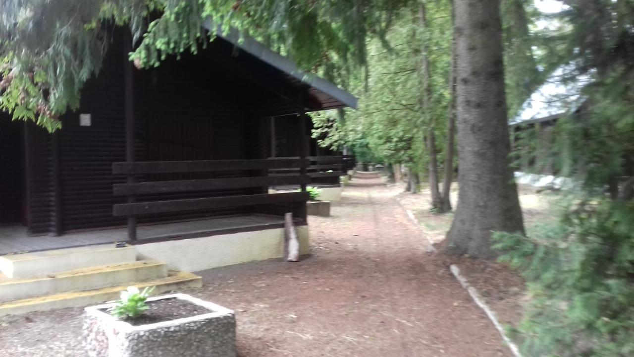 Villa Stacja Wypoczynkowa Augustów Esterno foto